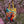Expression Gratitude Bag - Gust of Wind