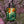 Expression Gratitude Bag - Deep Forest